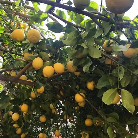 Casa Mia Bed & Breakfast 3*