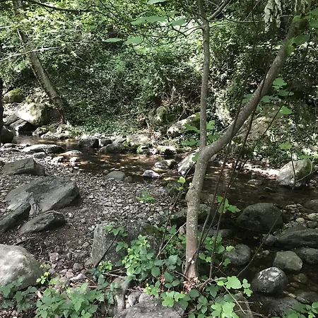 Casa Mia Bed & Breakfast