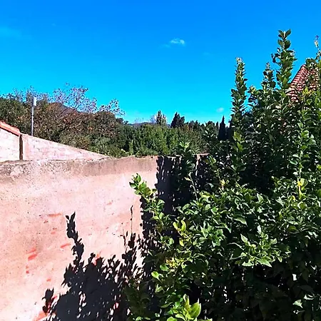 Casa Mia
