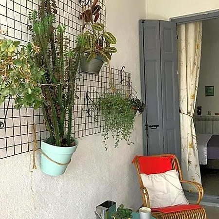 Casa Mia 3* Nefiach